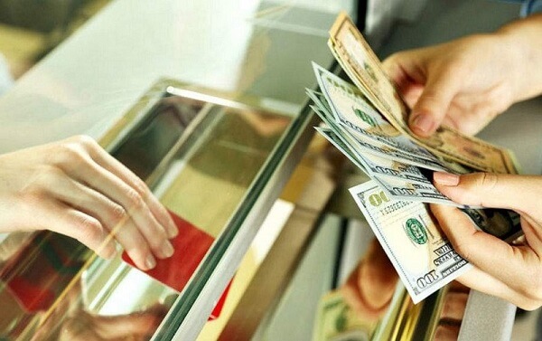 Các trường hợp được phép sử dụng ngoại hối, ngoại tệ trên lãnh thổ Việt Nam