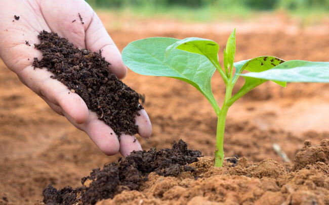 Thành lập công ty phân bón nhanh nhất tại Việt Nam