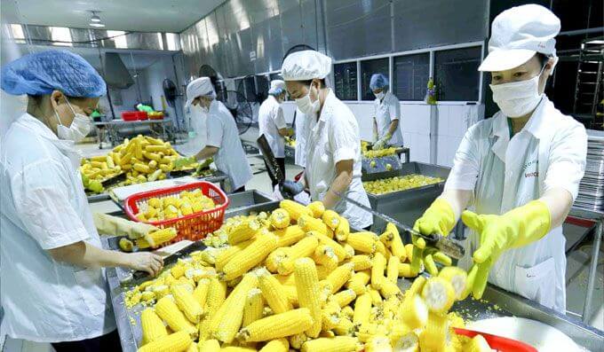 Các thành lập công ty nông sản