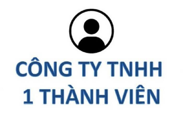 Công ty TNHH 1 thành viên là gì?