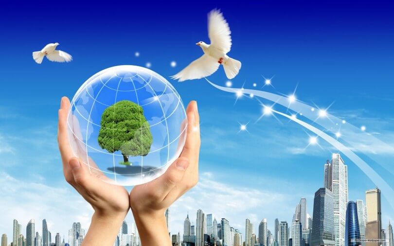 Công ty tư vấn môi trường là gì?