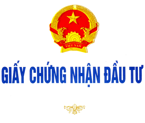 Quy trình thành lập công ty 100 vốn nước ngoài