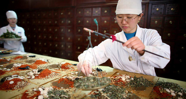 Hồ sơ đề nghị cấp Giấy phép kinh doanh thuốc bắc