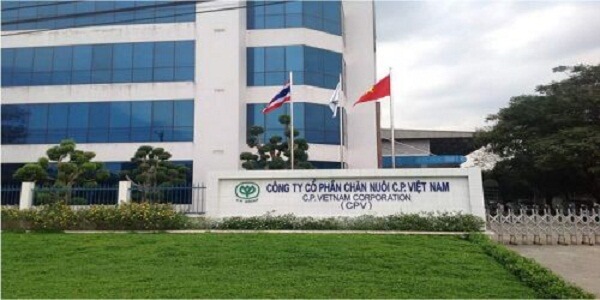 Những việc cần làm trước khi thành lập công ty thức ăn gia súc